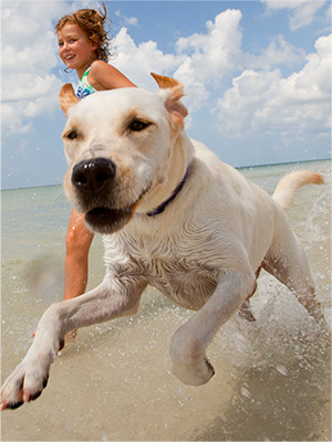 Shop Family & Pets