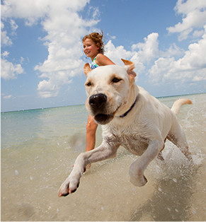 Family & Pets