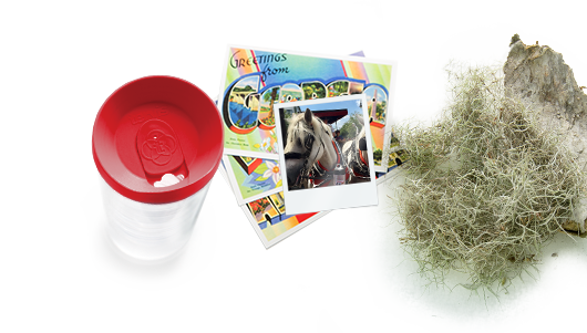 Tervis tumbler, GA postcards and moss